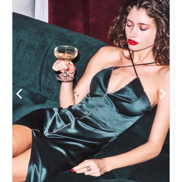 Fleur du Mal Dresses & Skirts - Fleur Du Mal Embellished Silk midi Dress NEW